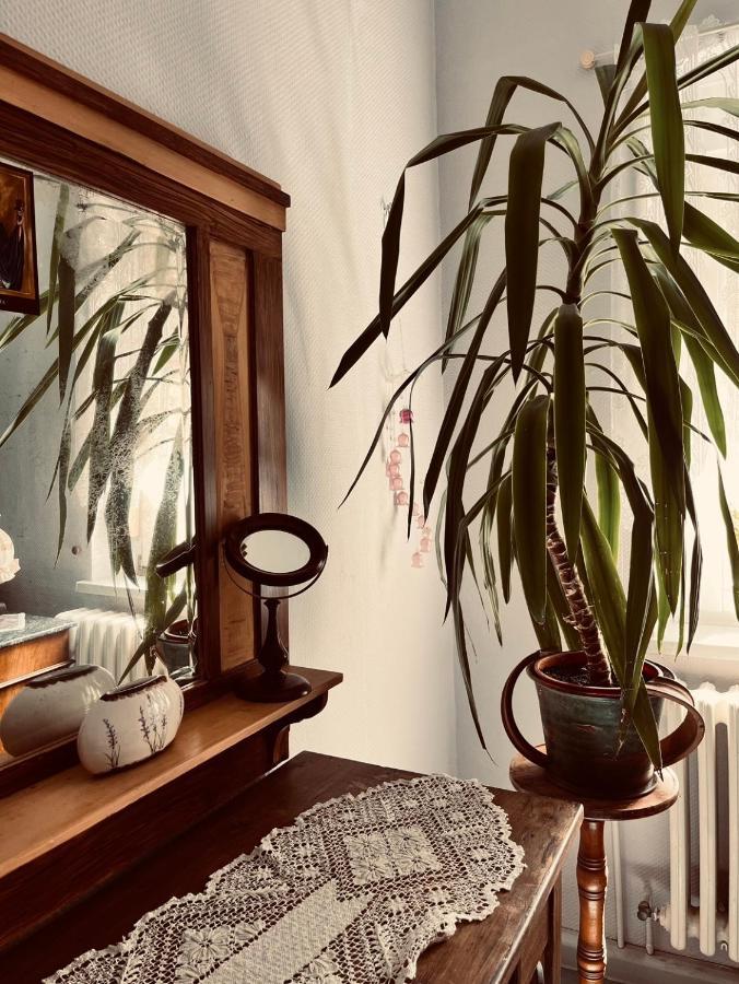 Ferienwohnung Geister เนาม์บวร์ก ภายนอก รูปภาพ