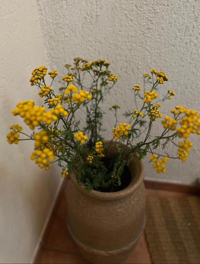 Ferienwohnung Geister เนาม์บวร์ก ภายนอก รูปภาพ
